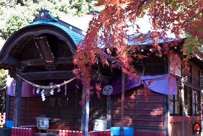 麻賀多神社紅葉