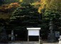 那須温泉神社の松の写真