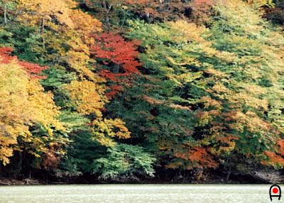 西ノ湖の紅葉