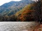西ノ湖と紅葉の写真