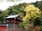 中禅寺と紅葉の写真