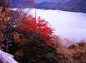 中禅寺湖と紅葉の写真