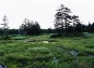 浮島湿原風景の写真