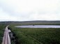 雨竜沼湿原の丸い池の写真