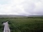 雨竜沼湿原風景の写真