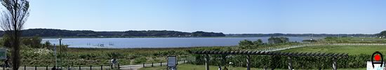 双子公園から印旛沼の写真