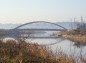 朝霧の双子橋の写真