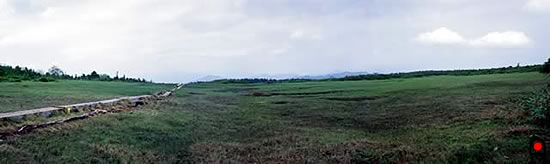 田代山山頂部の湿原((避難小屋方面から)の写真