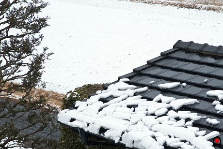 屋根の雪