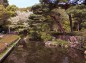 大宮公園日本庭園の写真