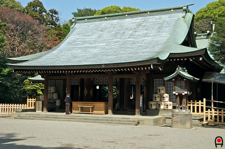 氷川神社の写真