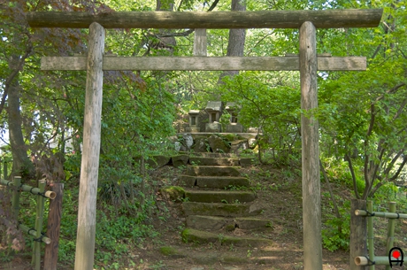 牡丹園内の八幡神社の写真