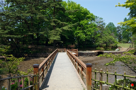 大池に掛かる橋の写真