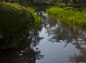 兼六園鶺鴒島に続く水路の写真