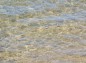 千里浜なぎさドライブウェイ透明な水面の写真