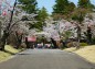 祇園城趾本丸入り口付近の写真