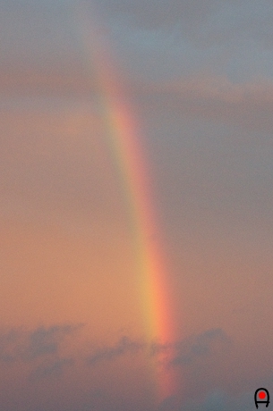夕焼け空に掛かる虹アップの写真