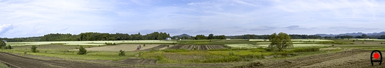 益子のそば畑を西側からのパノラマ写真