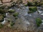 尚仁沢湧水地の写真