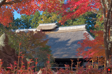 益子参考館の4号館付近の紅葉の写真