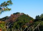 御岳から古賀志山方面の写真