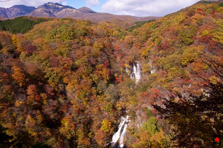 周りの山の紅葉と霧降の滝の写真