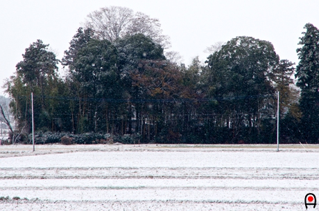 雪で白くなった田んぼの写真