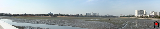 谷津干潟東側からの眺めの写真