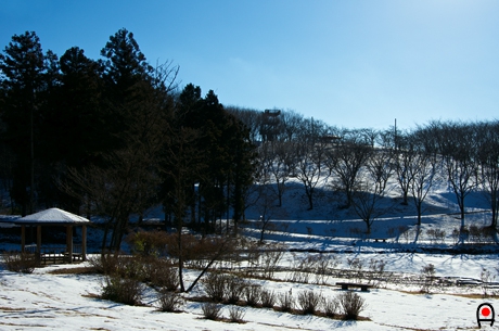 雪の冨士山自然公園の写真