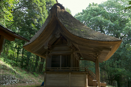 綱神社横からの写真