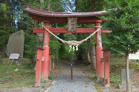 綱神社鳥居の写真