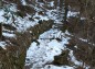 落ち葉の上に雪が残る自然研究路の写真