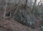 筑波山自然研究路道脇の木の生える岩の写真