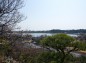 偕楽園から見た千波湖の写真