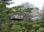 大宮公園日本庭園の写真