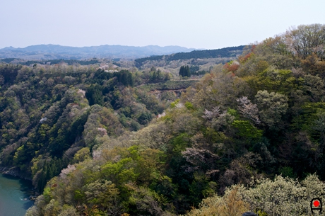春の鎌倉山岩場展望台から鷹の巣方面の写真
