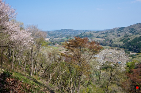 鎌倉山からの眺めの写真