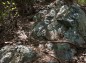 登山道に岩出現の写真