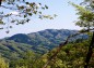 足尾山山頂手前からの眺めの写真