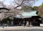 境内の桜と拝殿の写真
