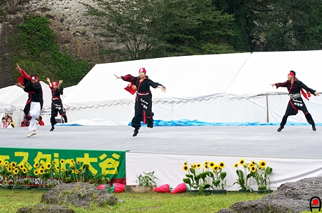 Sakura吹舞輝の演舞の写真