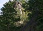 越路岩松に囲まれる岩の写真