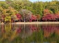 井頭公園ボート池付近の紅葉の写真
