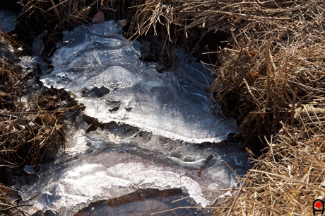 池の端の二層のなってる氷の写真