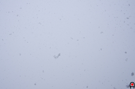 大粒の雪の写真