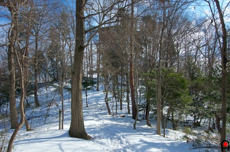 雪の中の益子の森展望塔の写真
