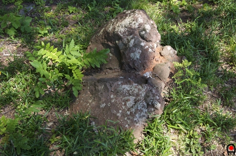 千本城趾展望所に有る岩の写真
