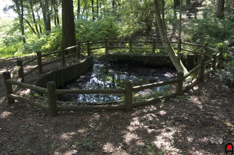 綾織池の写真