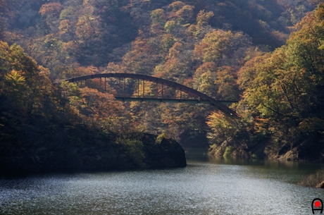 橋から西側の紅葉写真
