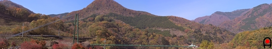 もみじ谷大吊橋の写真